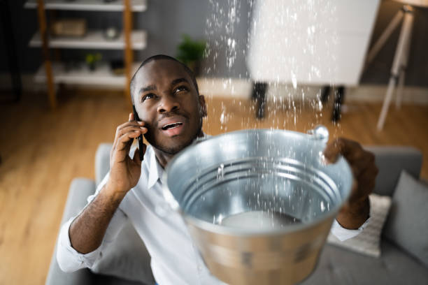 Best Ceiling water damage repair  in Chestertown, MD