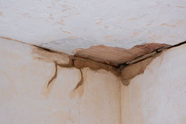 Best Water damage restoration near me  in Chestertown, MD