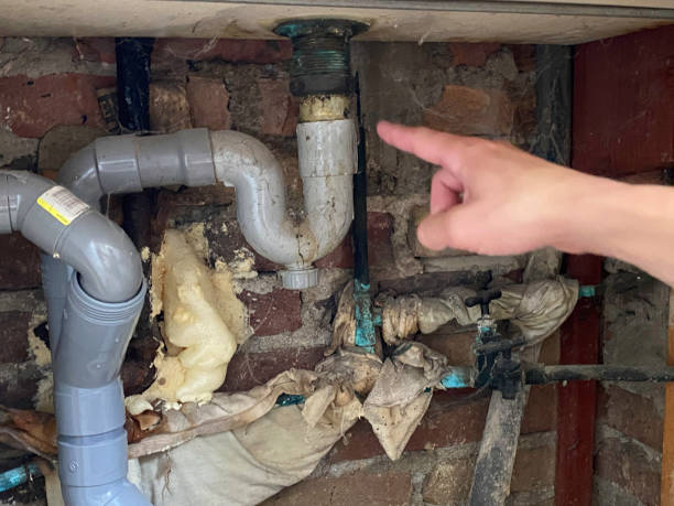 Best Carpet water damage restoration  in Chestertown, MD